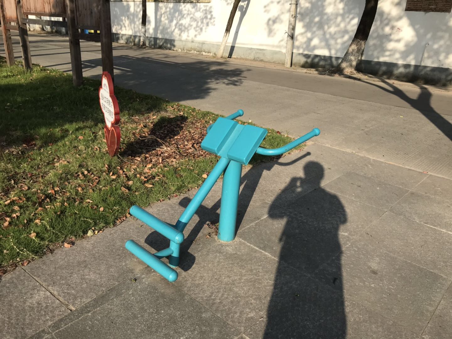 背肌训练器