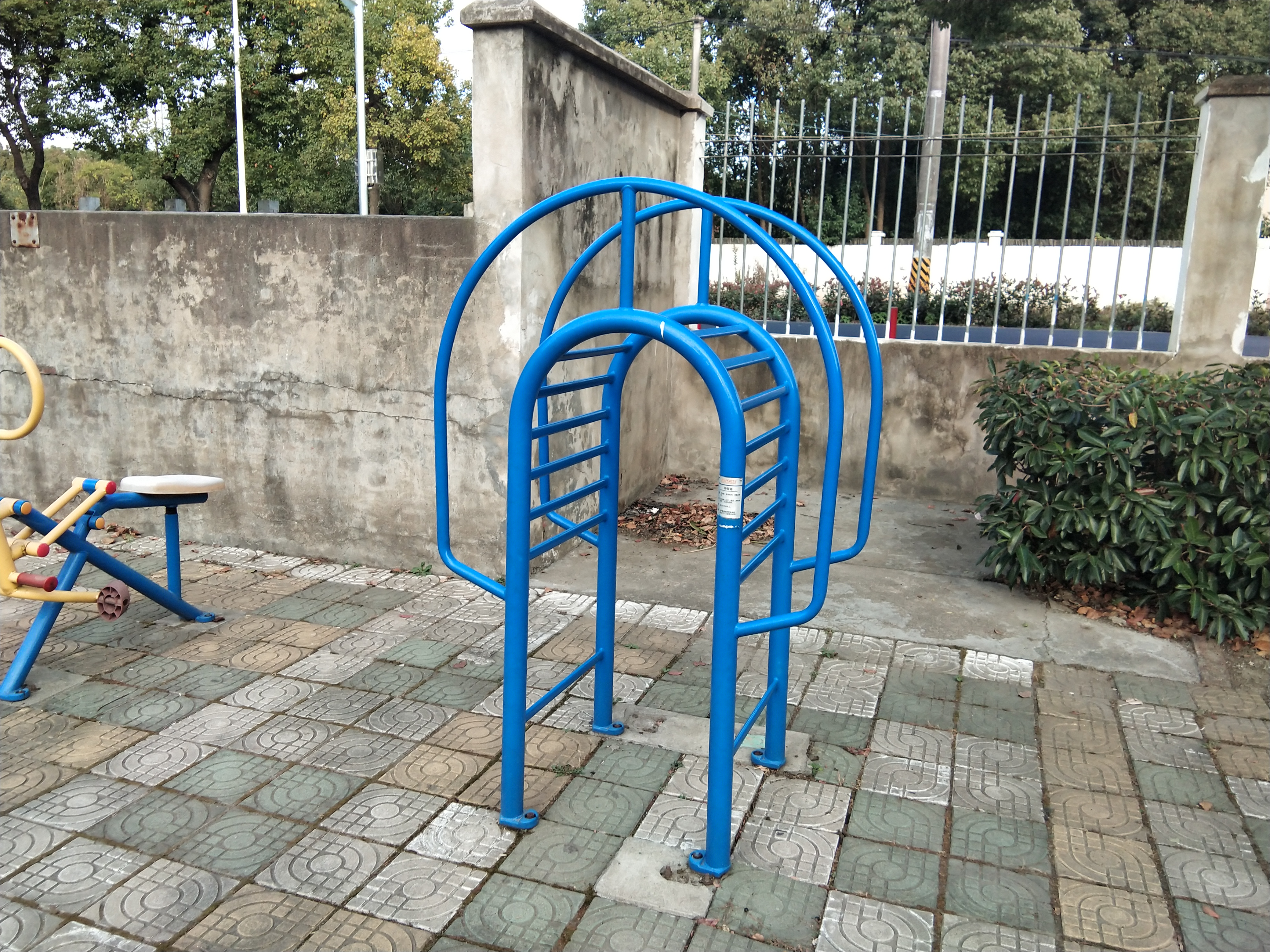 伸背器