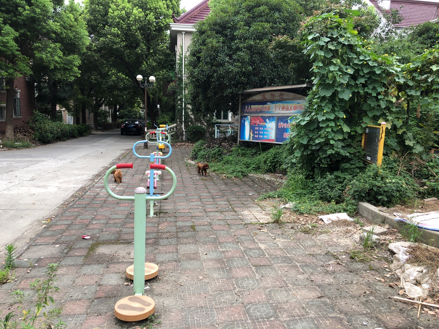 银杏居委纪丰苑健身点