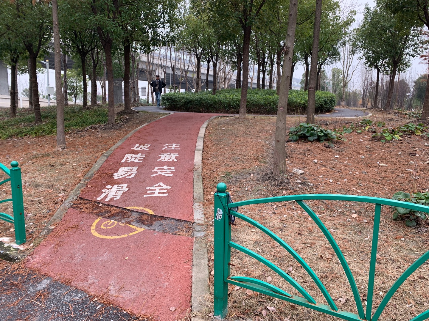 嘉闵高架绿化带西侧健身步道