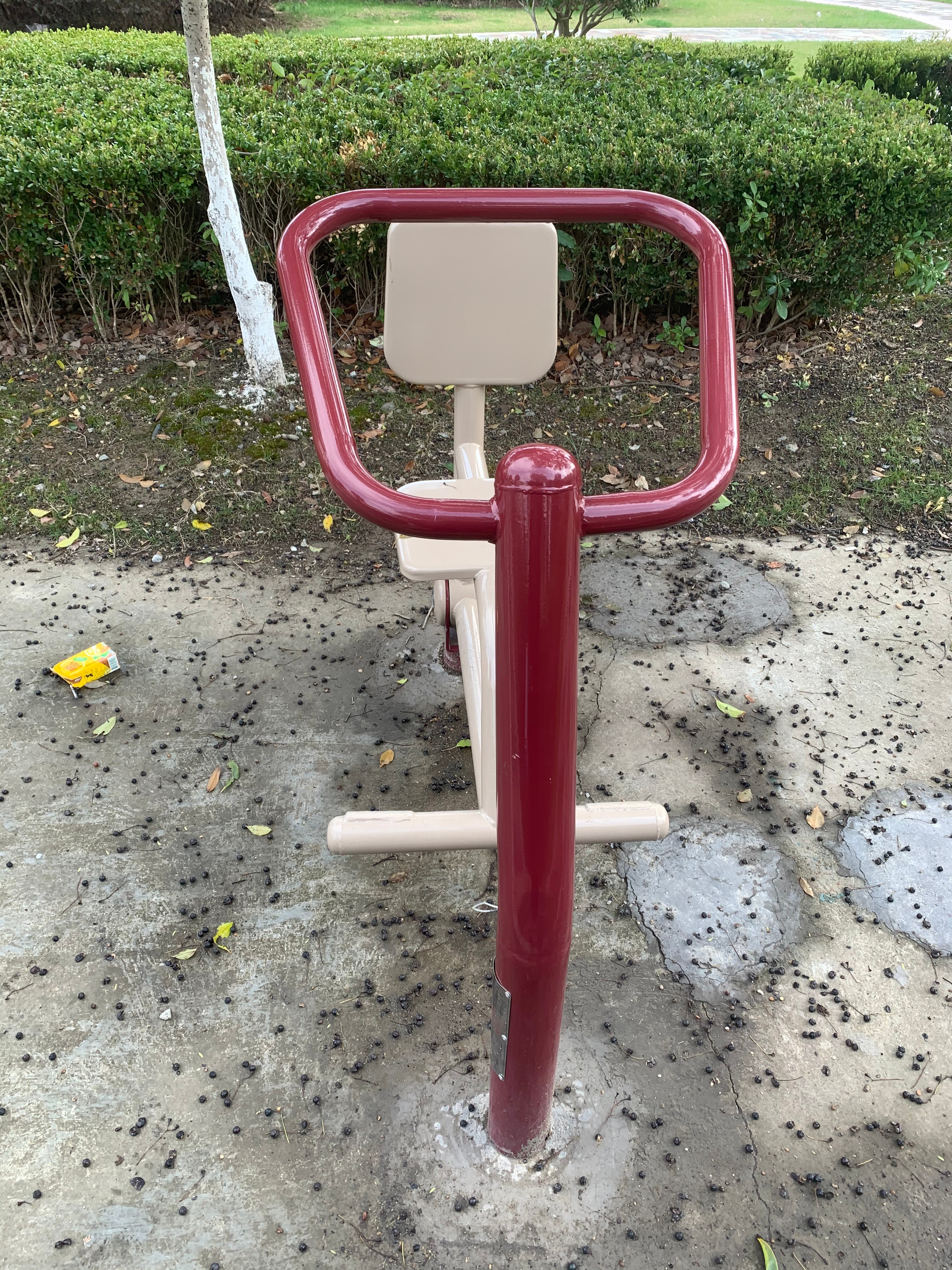 伸展器