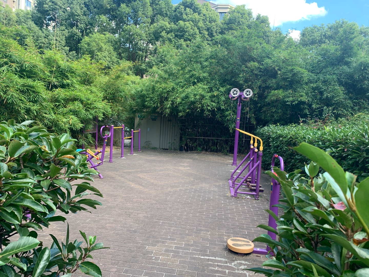 巨峰路399弄47号前（证二）