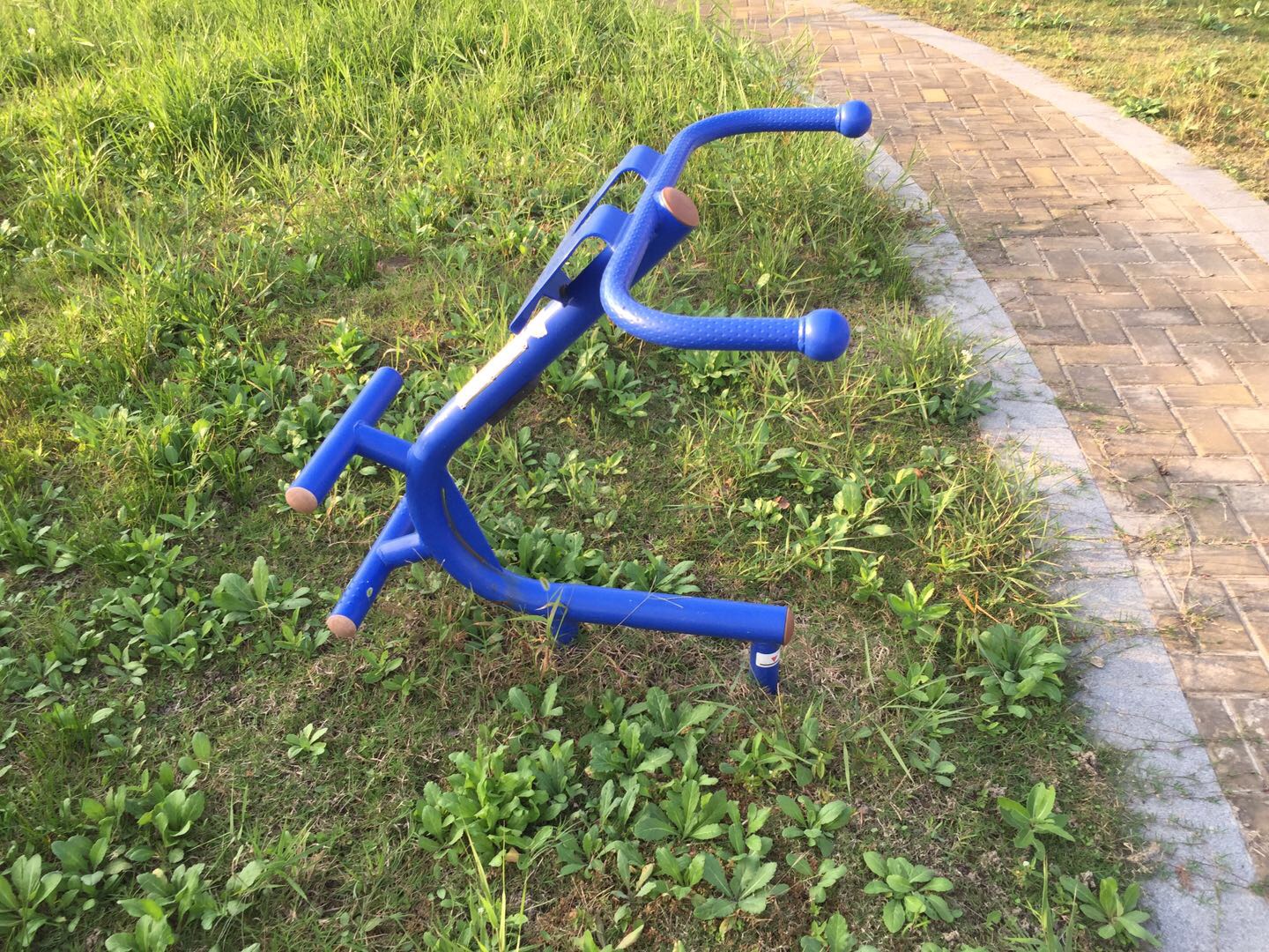 背肌训练器