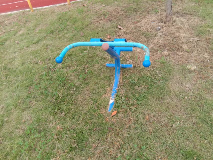 背肌训练器