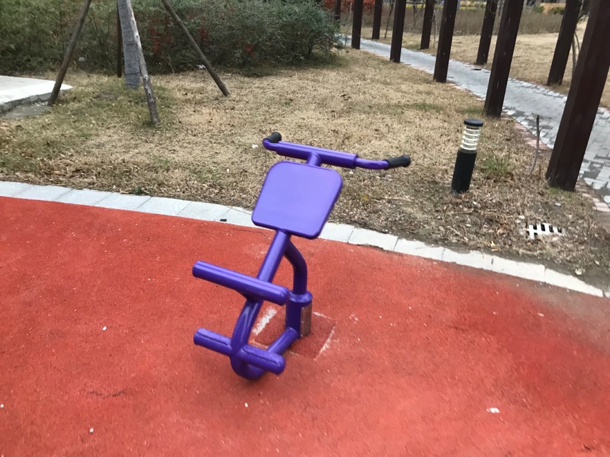 背肌训练器