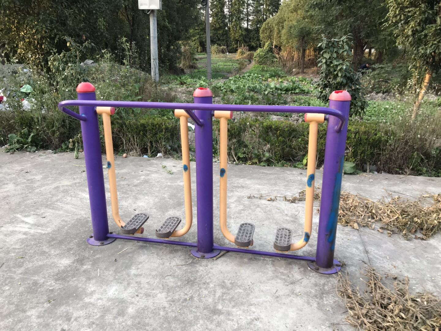 漫步器