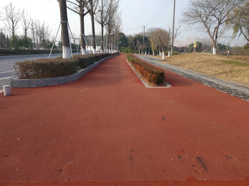 安亭新镇墨玉南路安诚路健身步道
