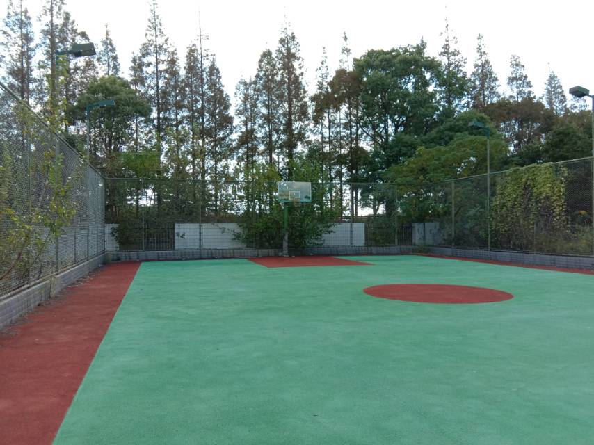 向化镇公共球场