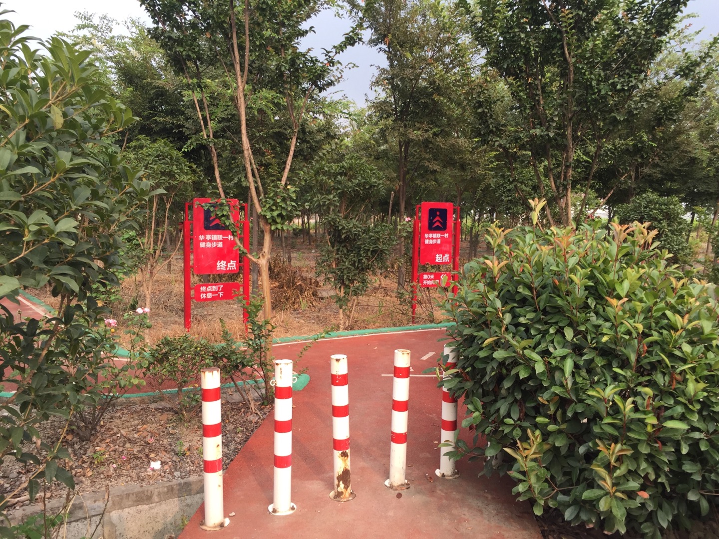 联一村百姓健身步道