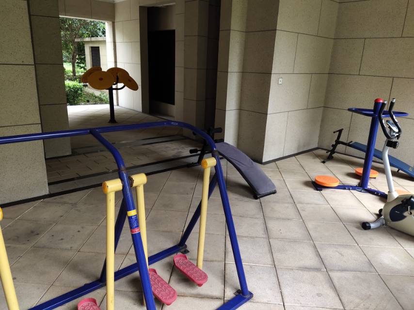 南翔镇芳林社区居委会浩翔路508弄健身点