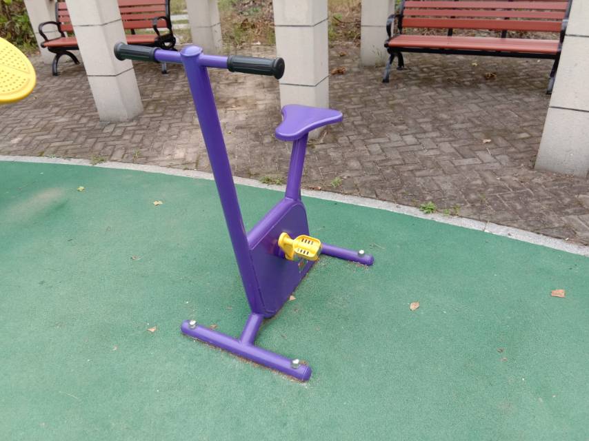 双位健身车