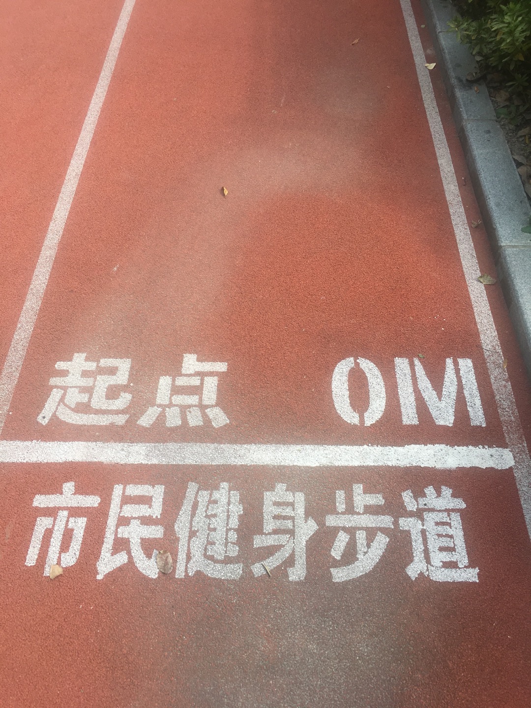 黑山路虬江河健身步道