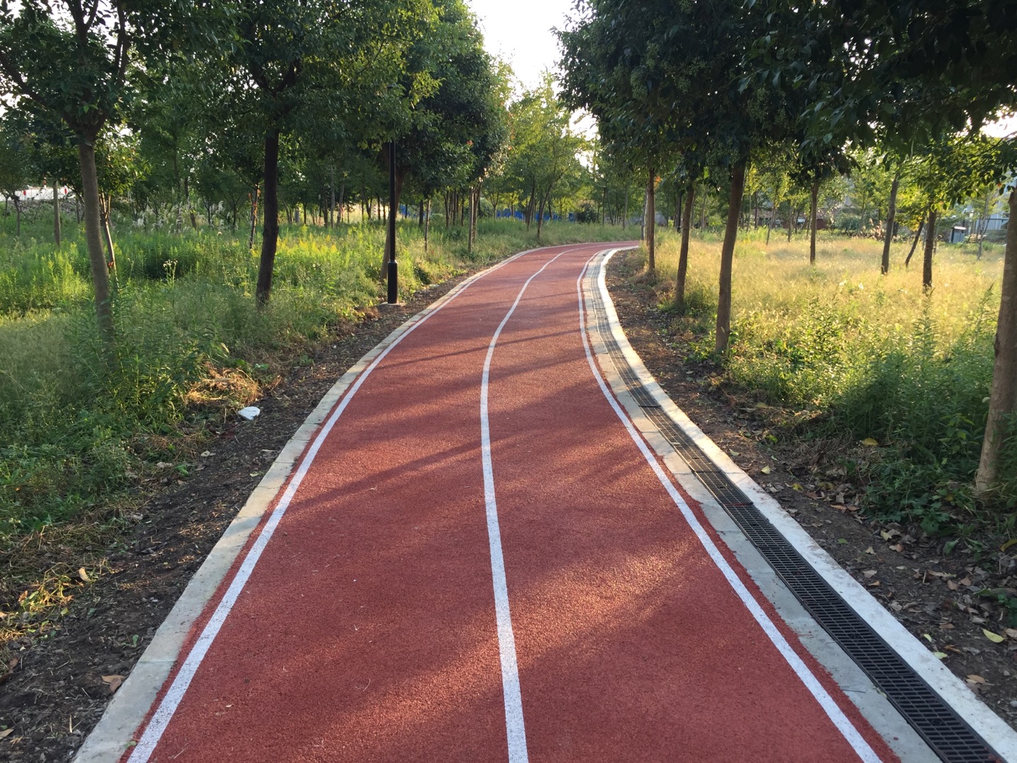 启瀛村健身步道