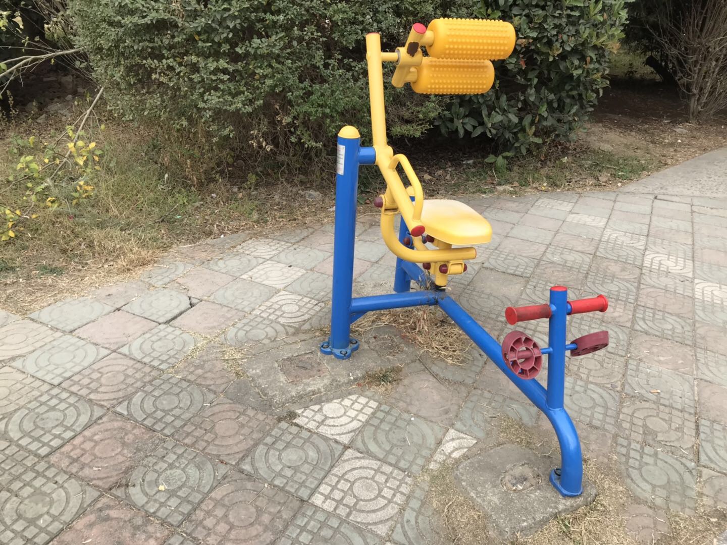 自重腹背锻炼器