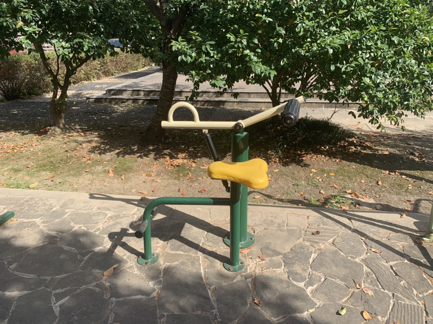 腹背锻炼器
