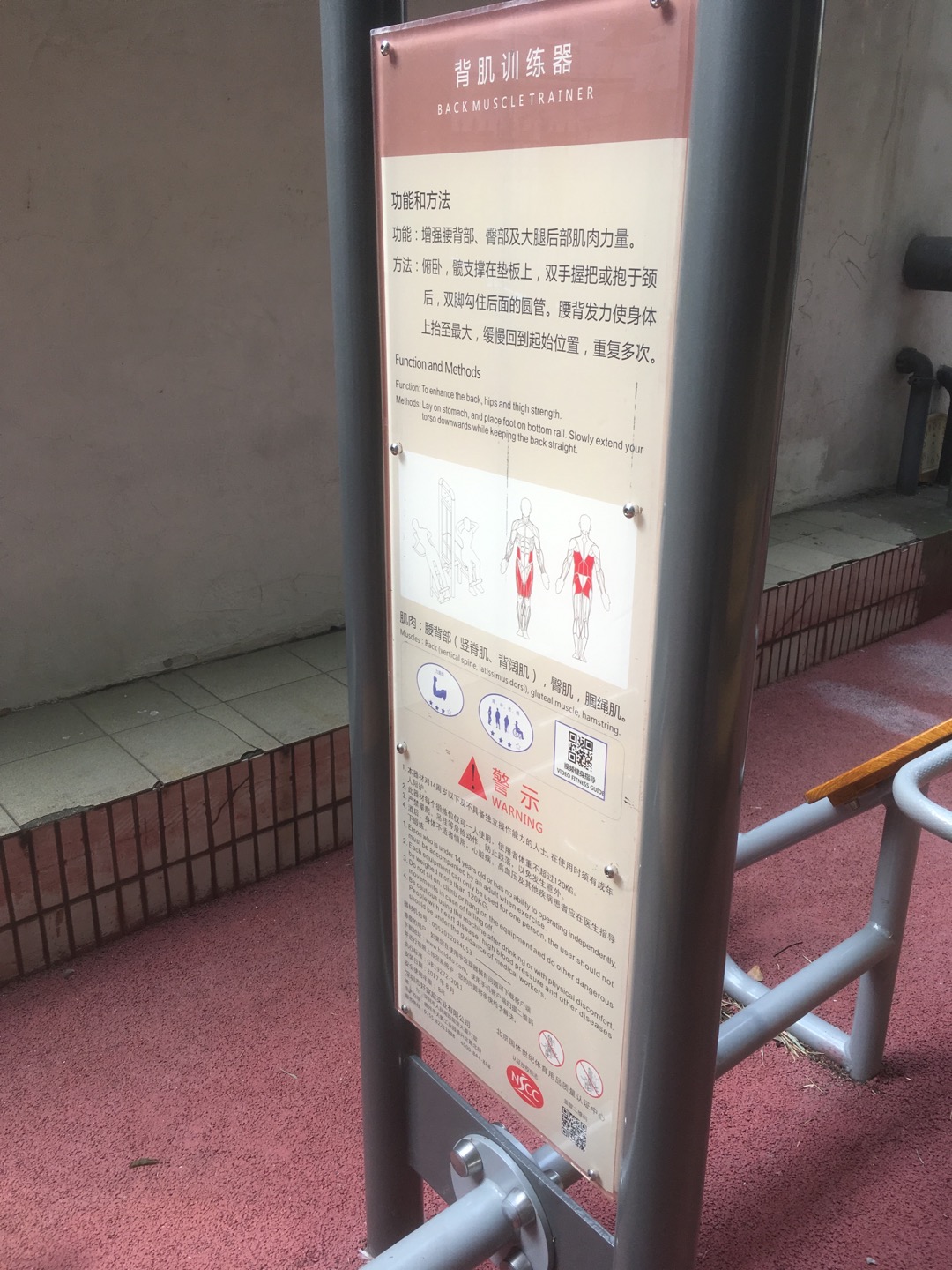背腹肌训练器