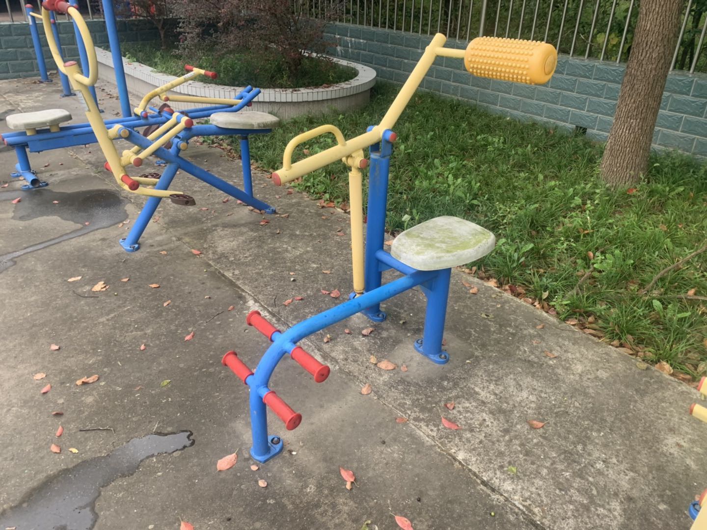 腹背锻炼器