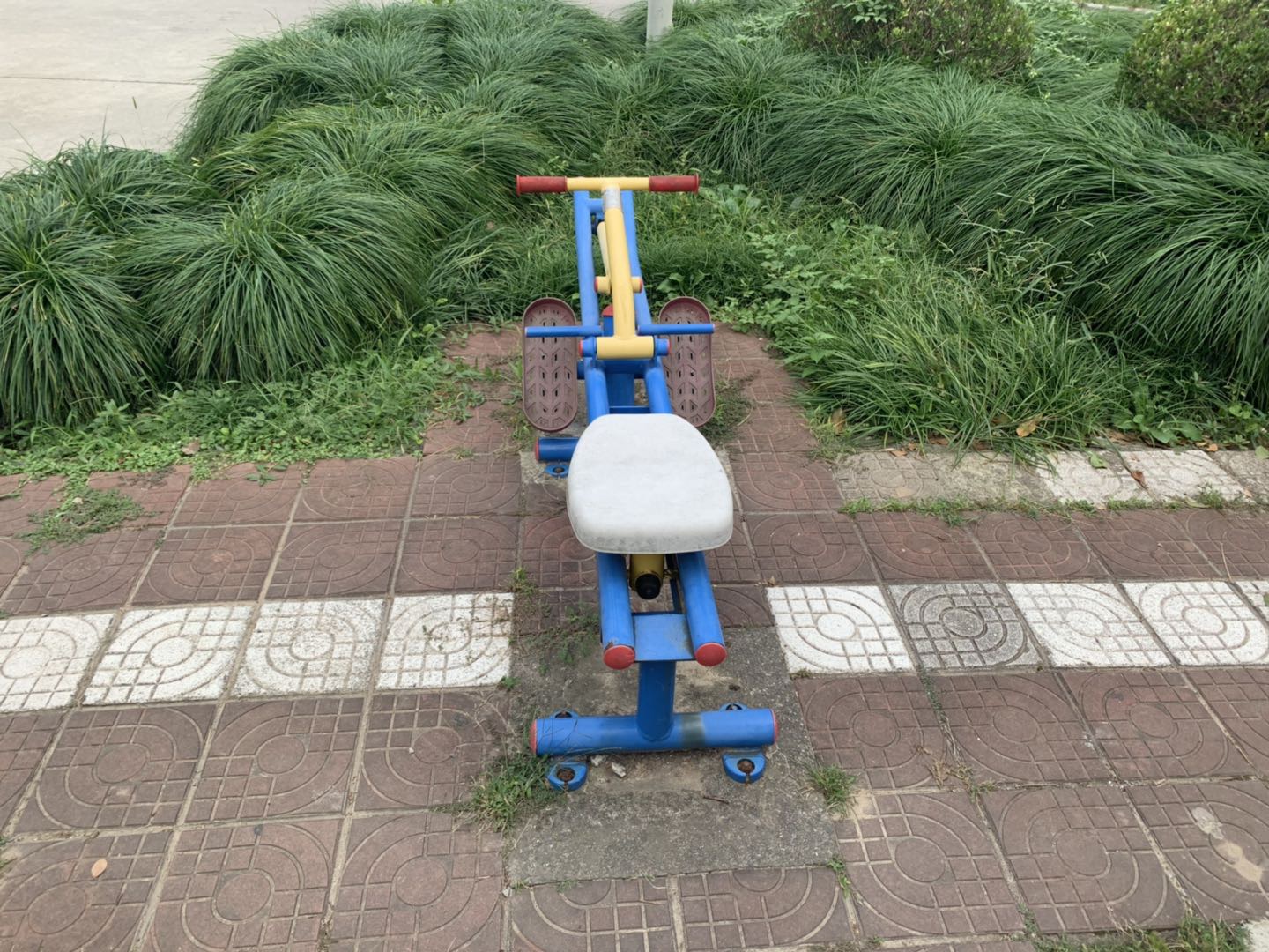 赛艇