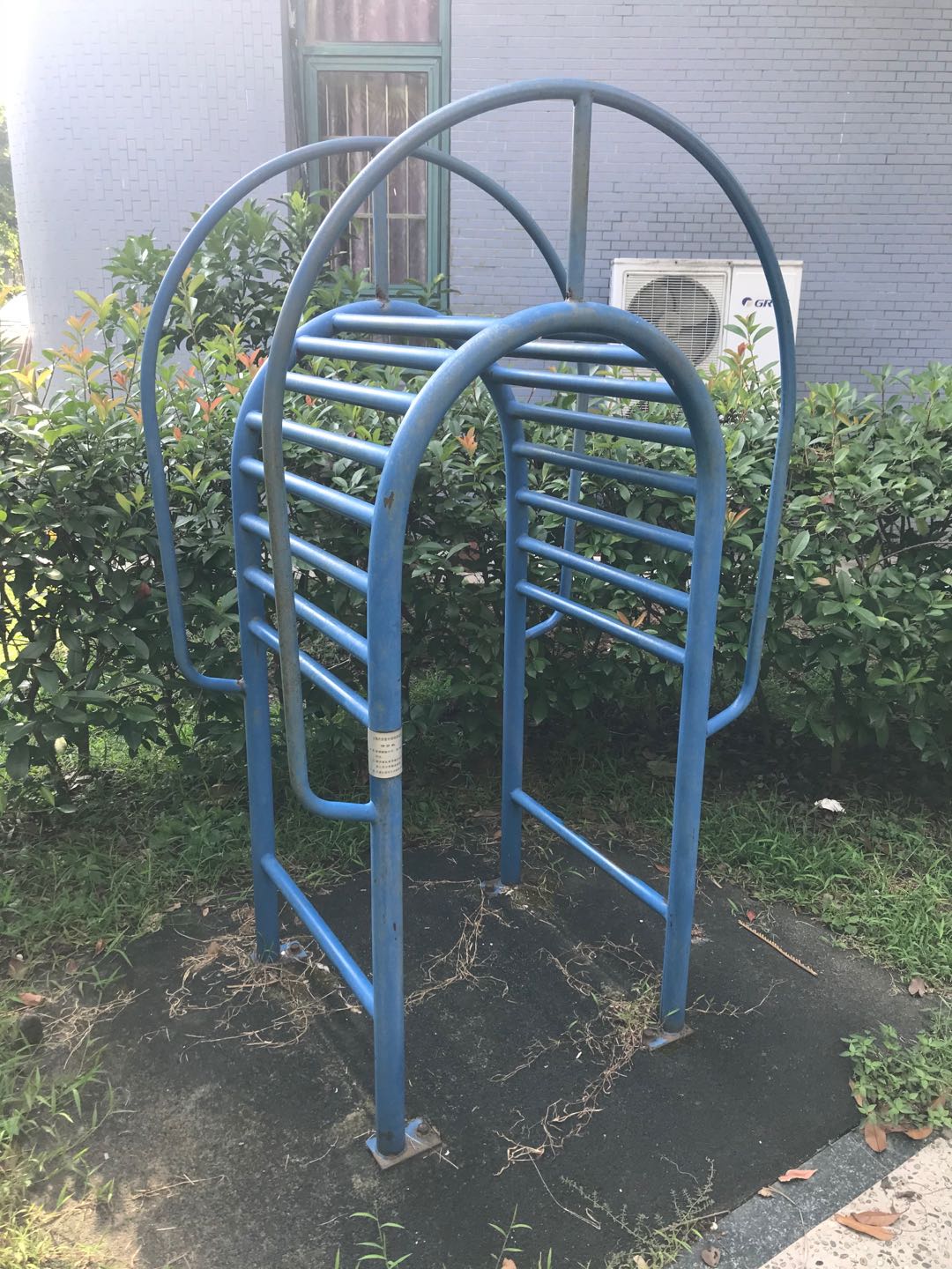 伸背机