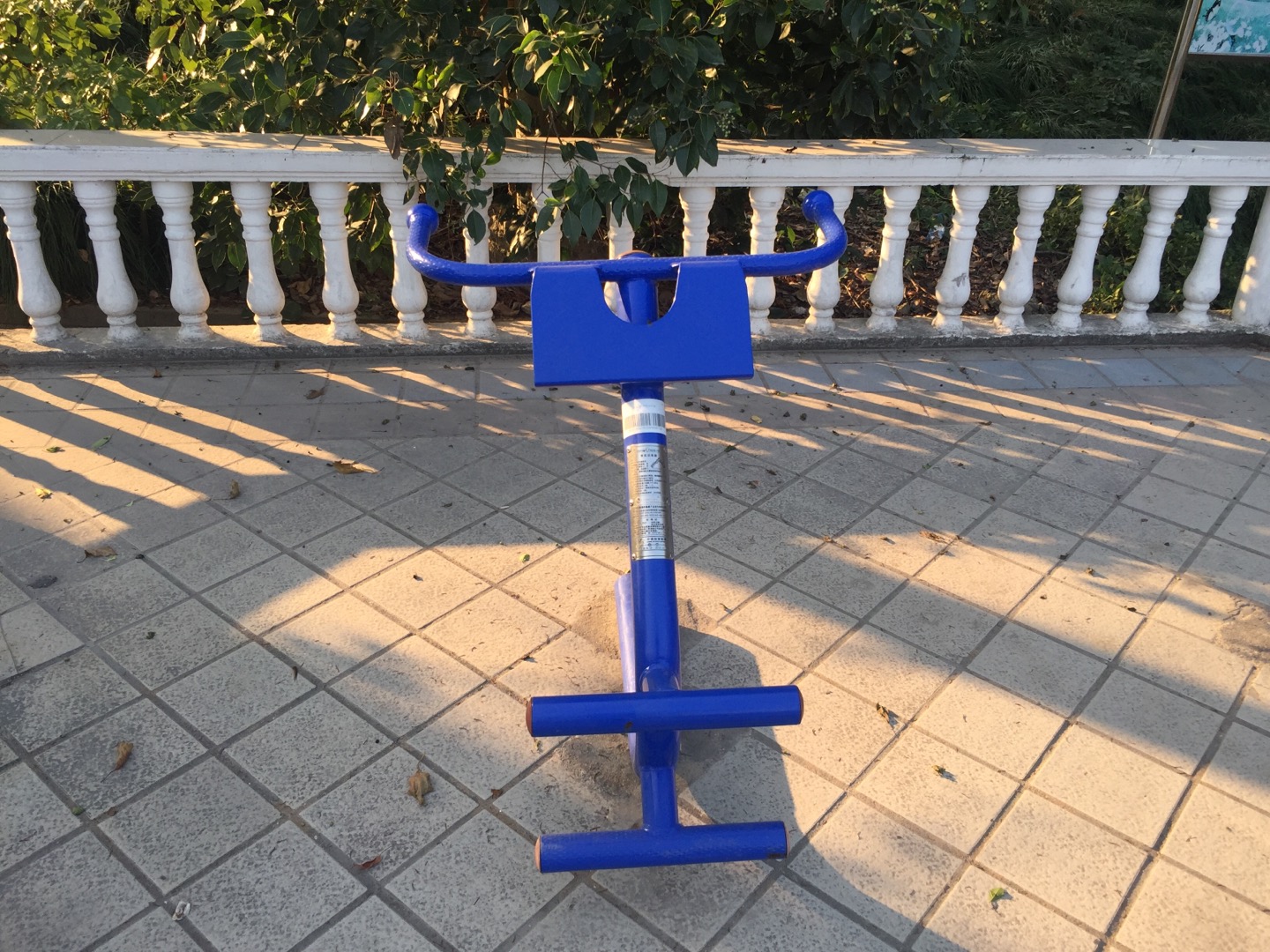 背肌训练器