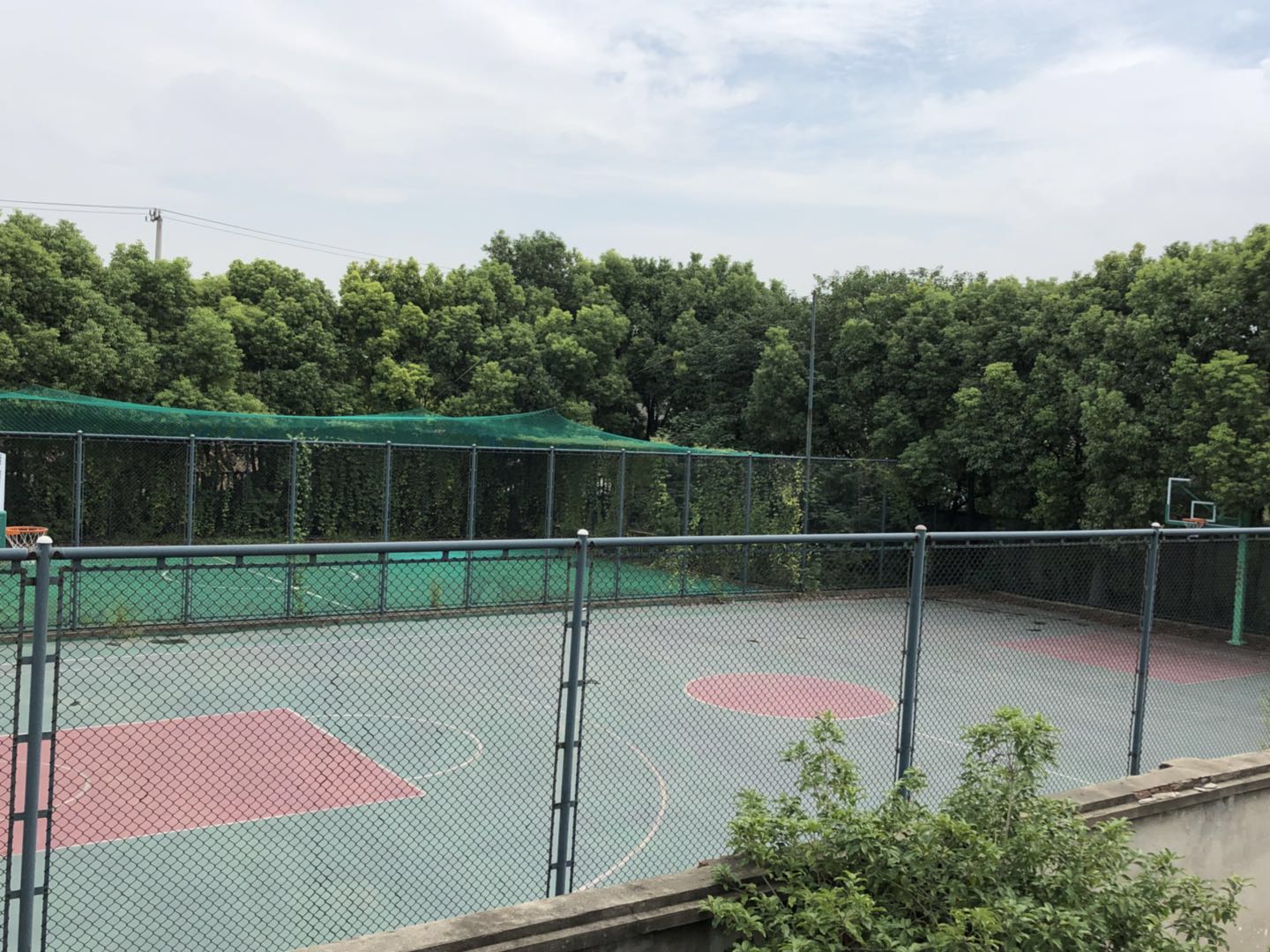果园河市民球场