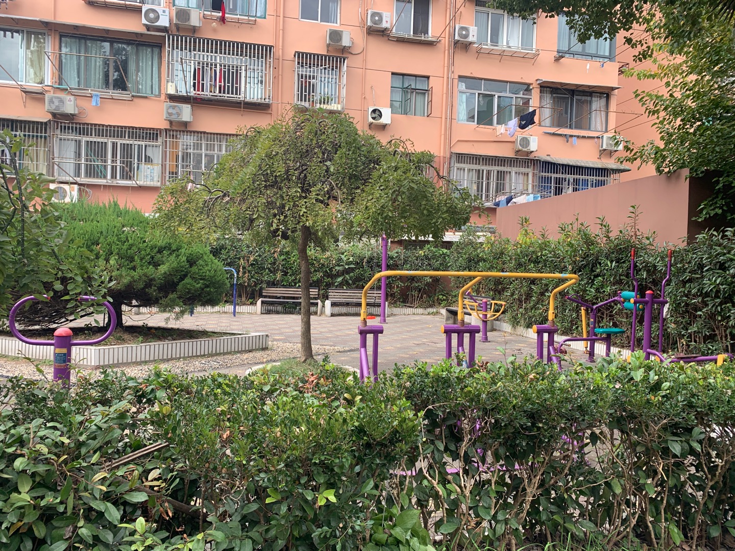 严镇路96弄健身点