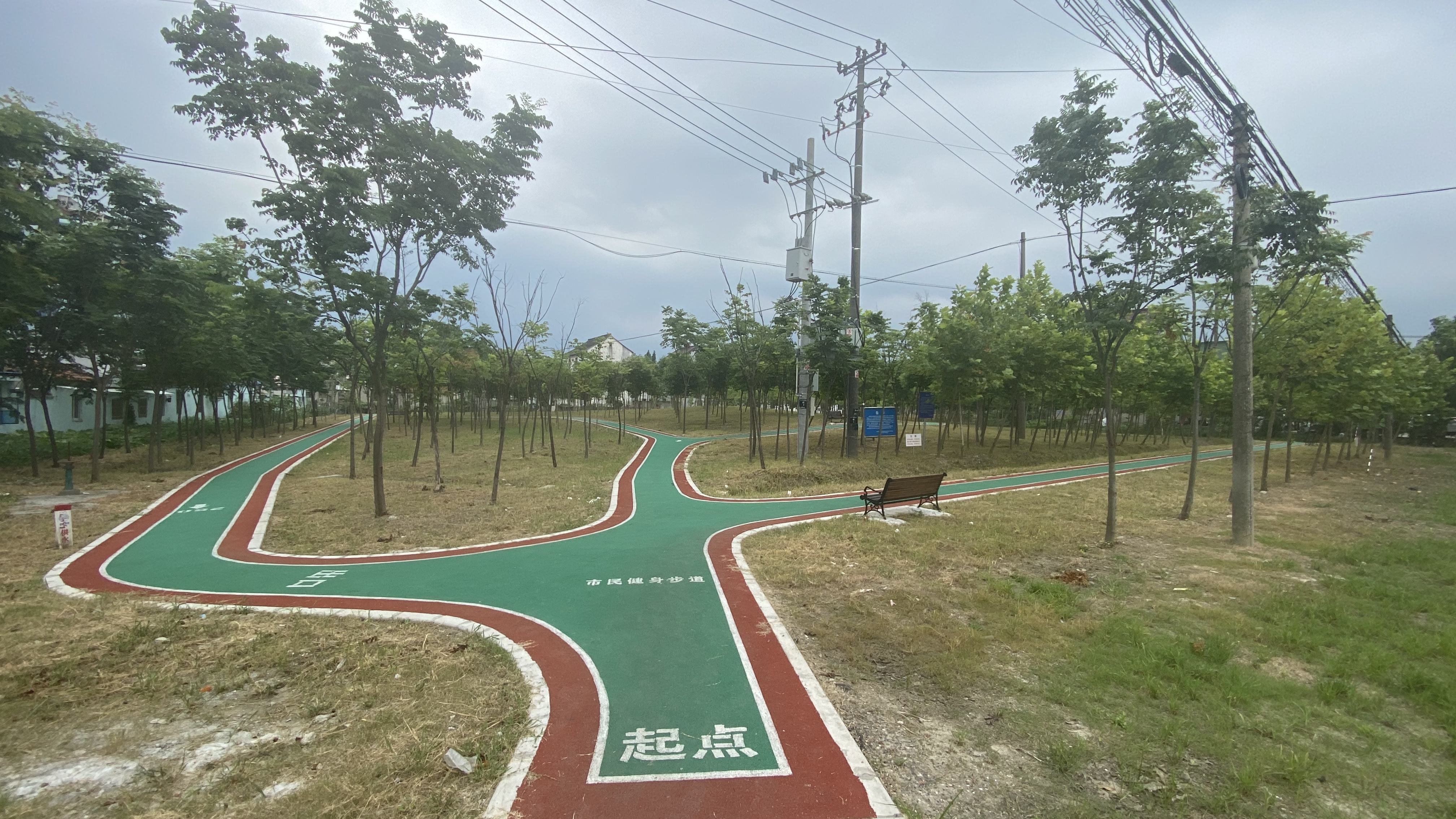 亭林镇社区示范市民健身步道