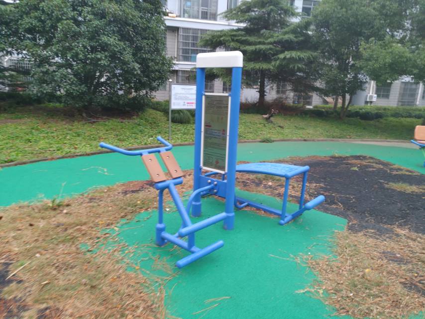 双立柱腹背训练器