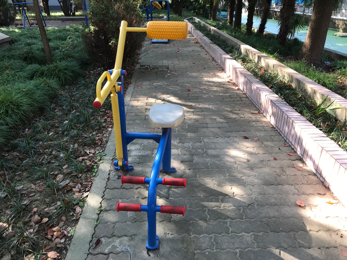 腹背锻炼器
