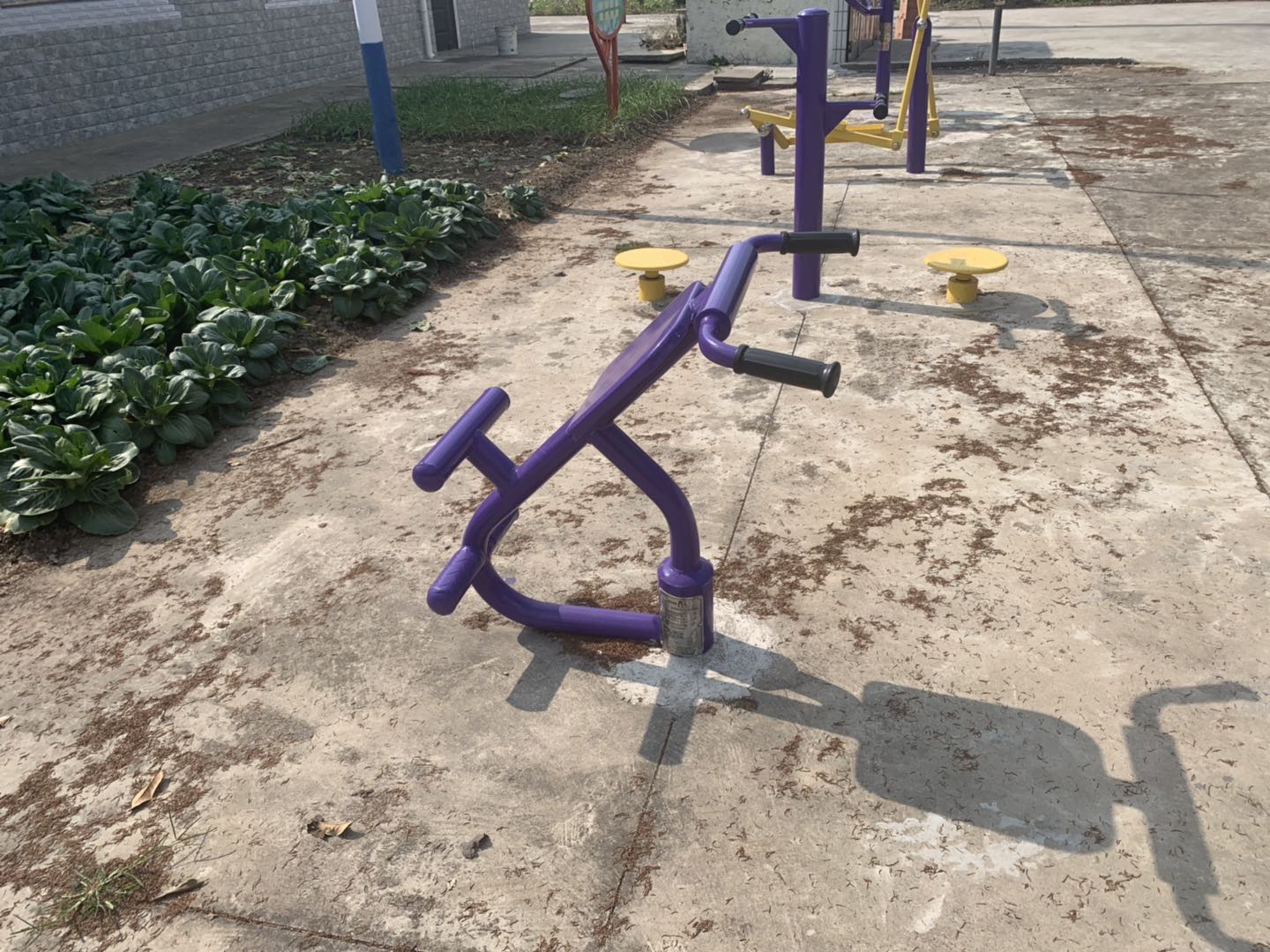 背肌训练器