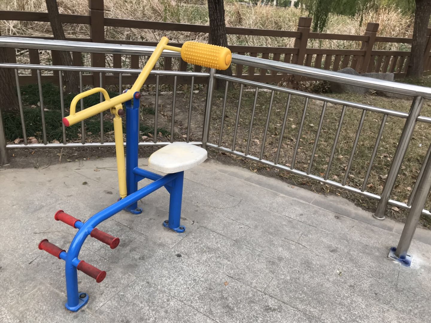 腹背锻炼器