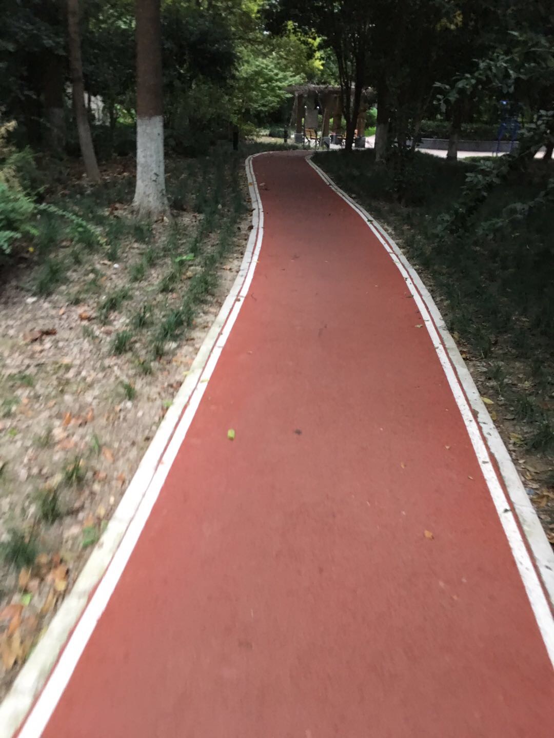 中环花苑市民健身步道