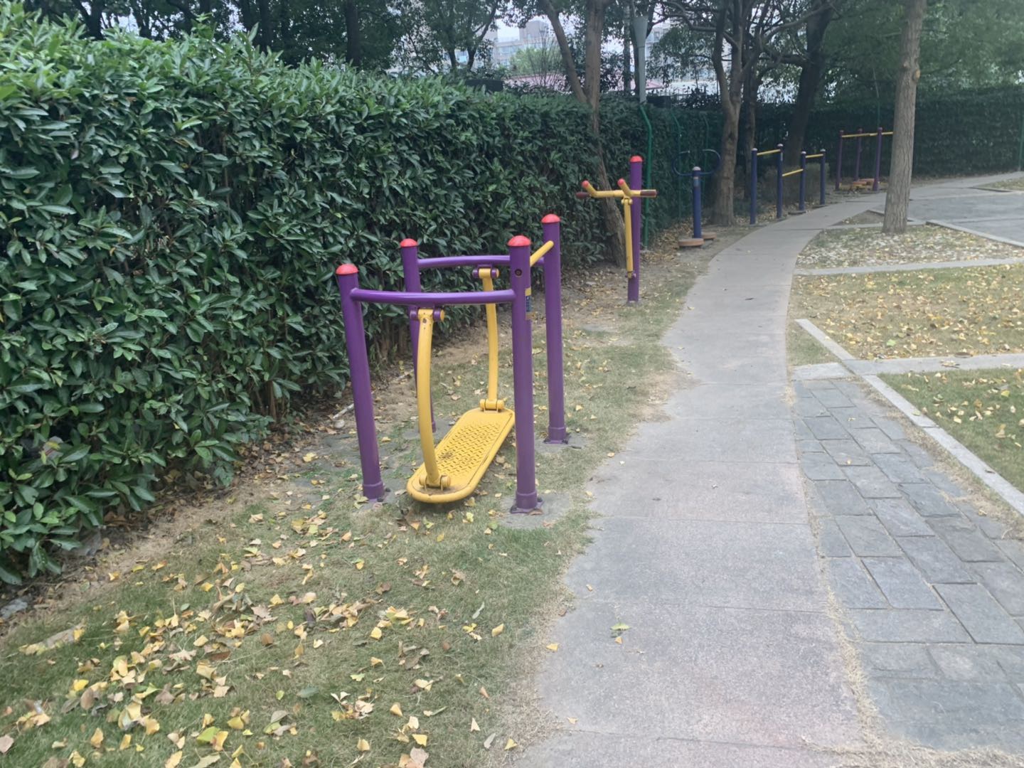 晃板健身器
