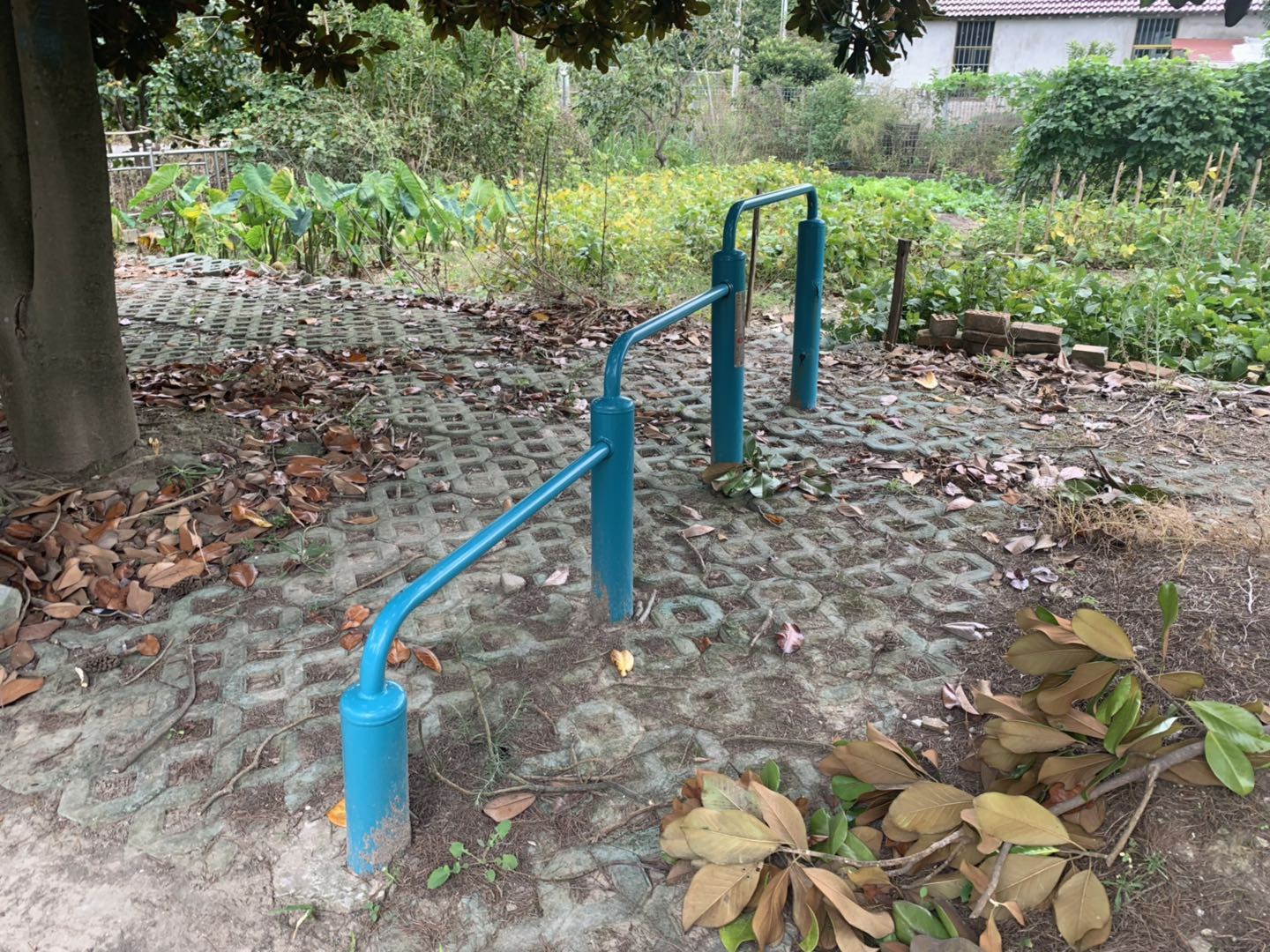 弹震压腿器