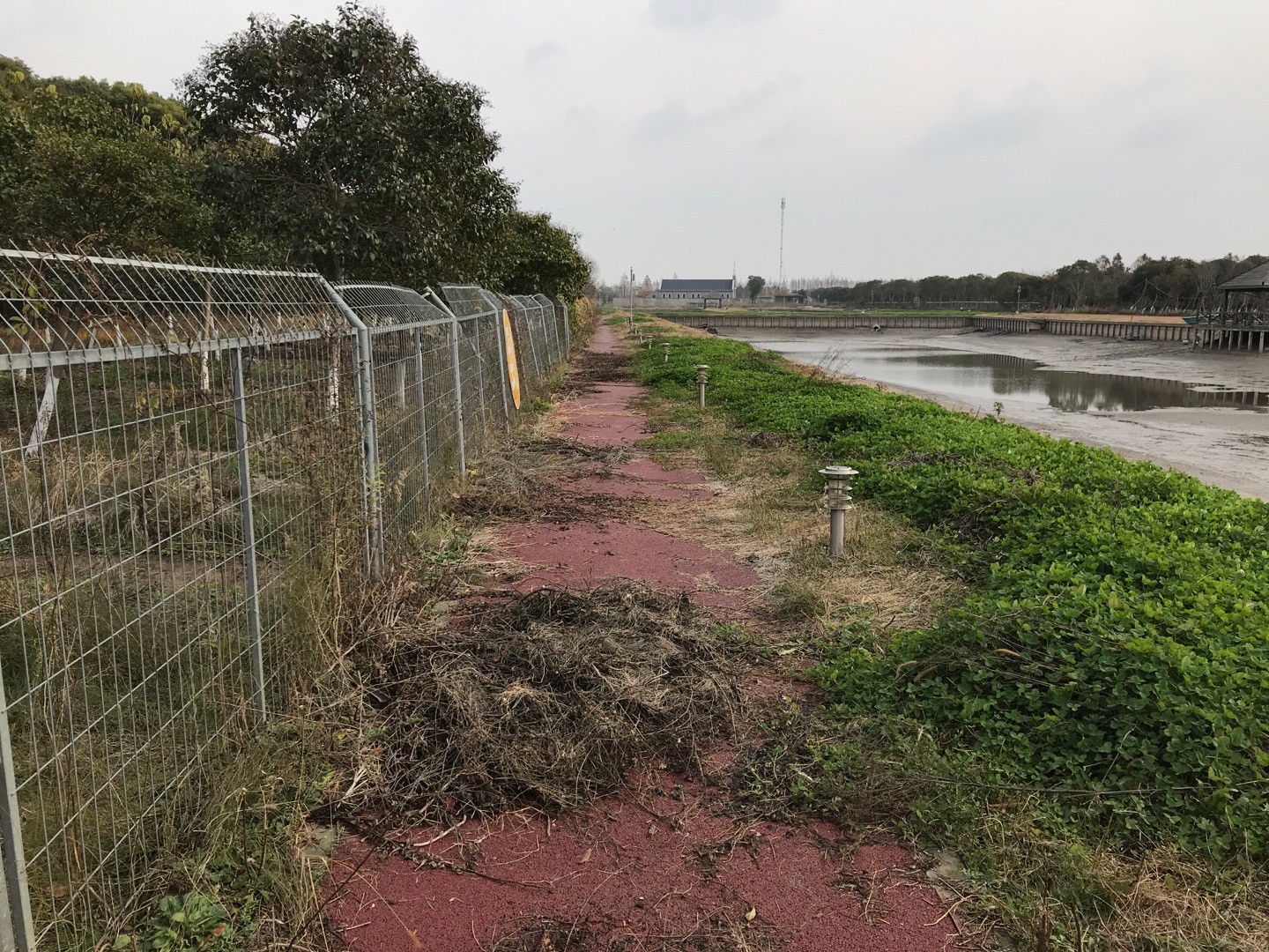 向化镇市民健身步道