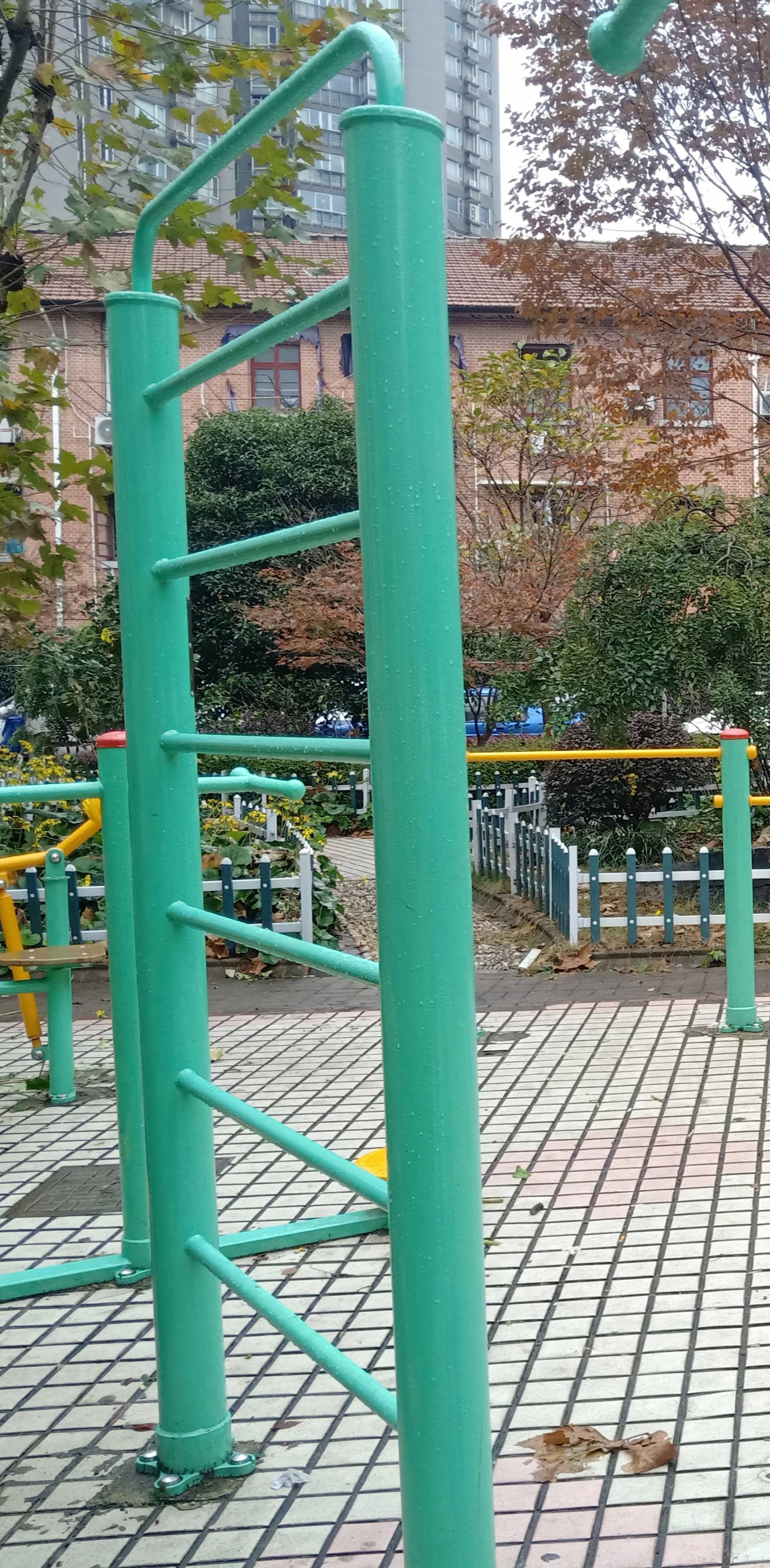 肋木