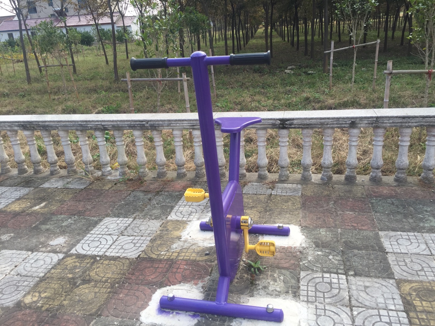 双位健身车