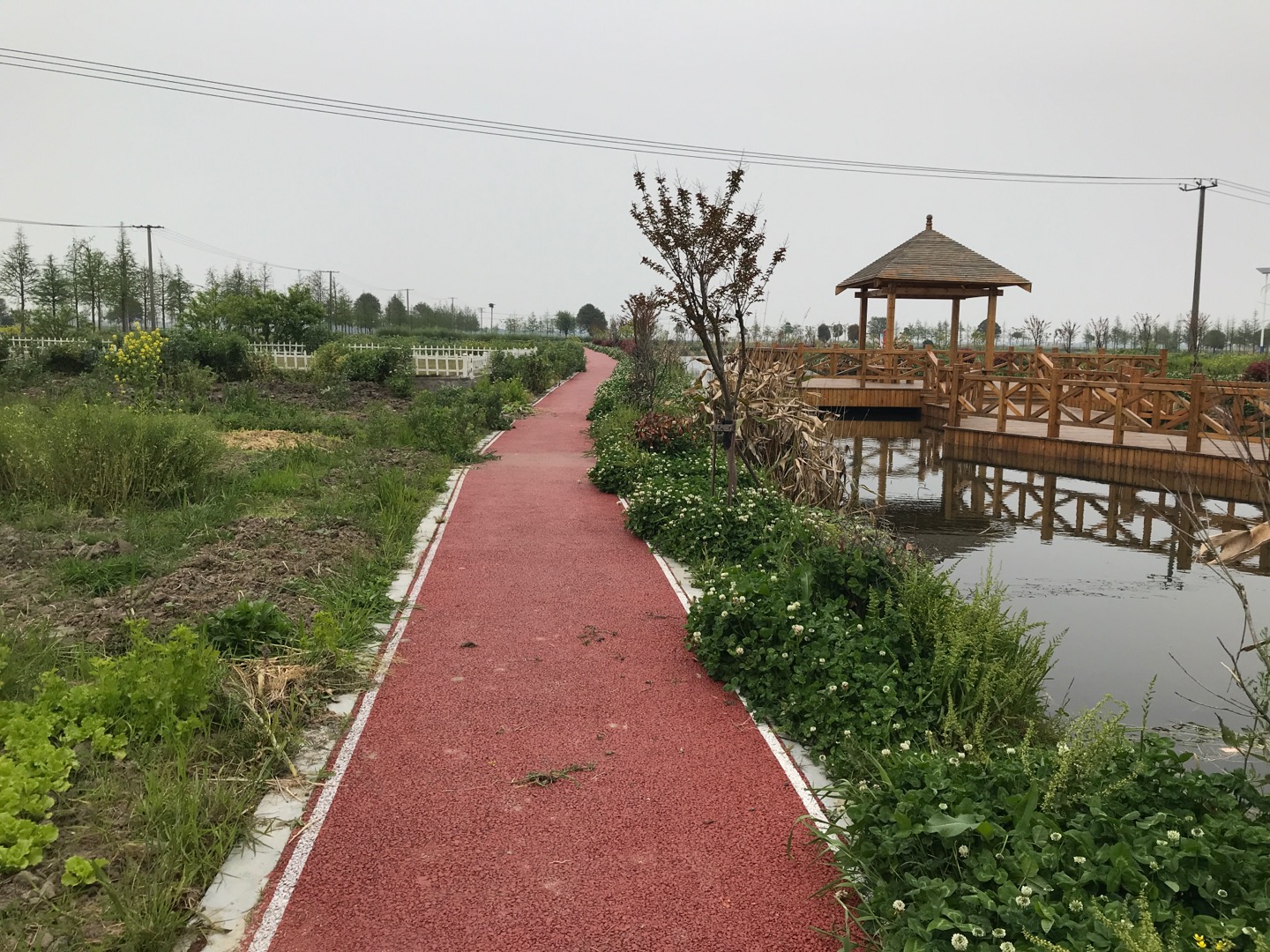 金泽镇双祥村健身步道