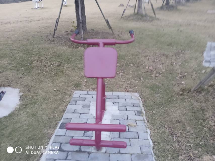 背肌/腹肌训练器