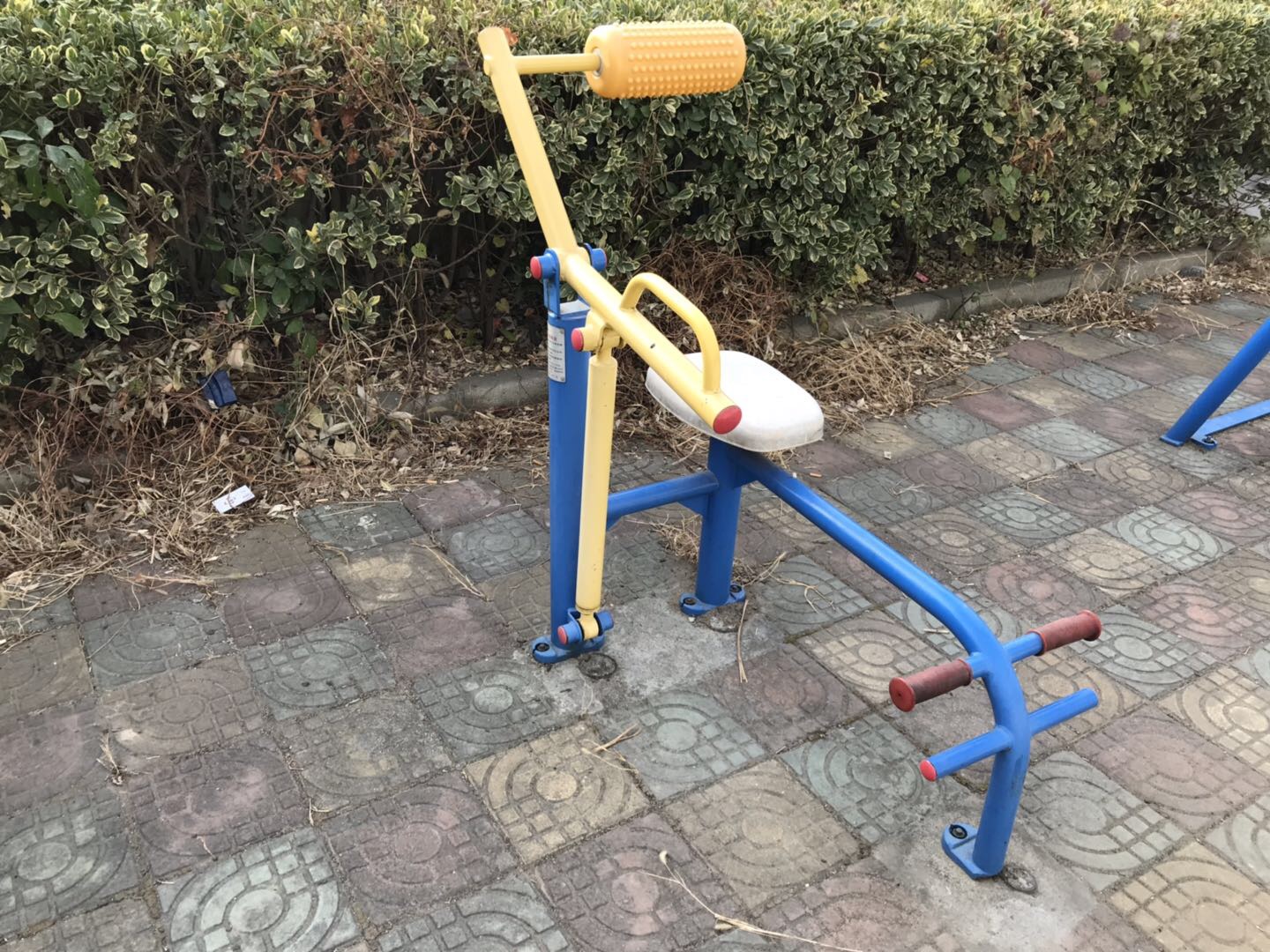 腹背锻炼器