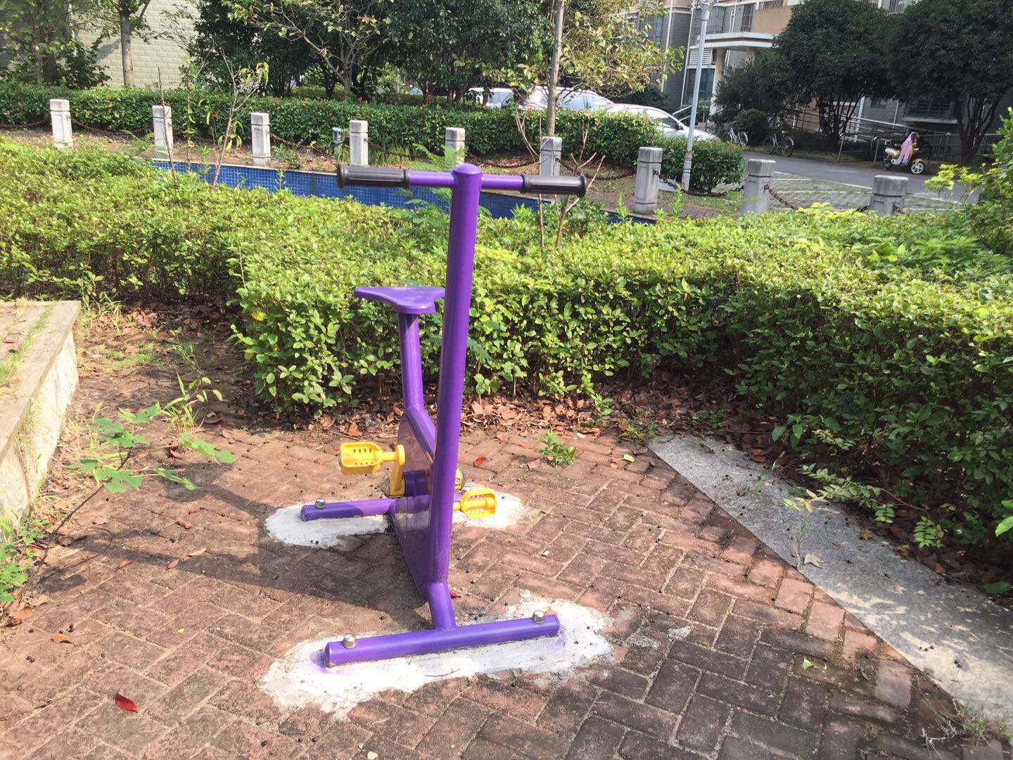 双位健身车