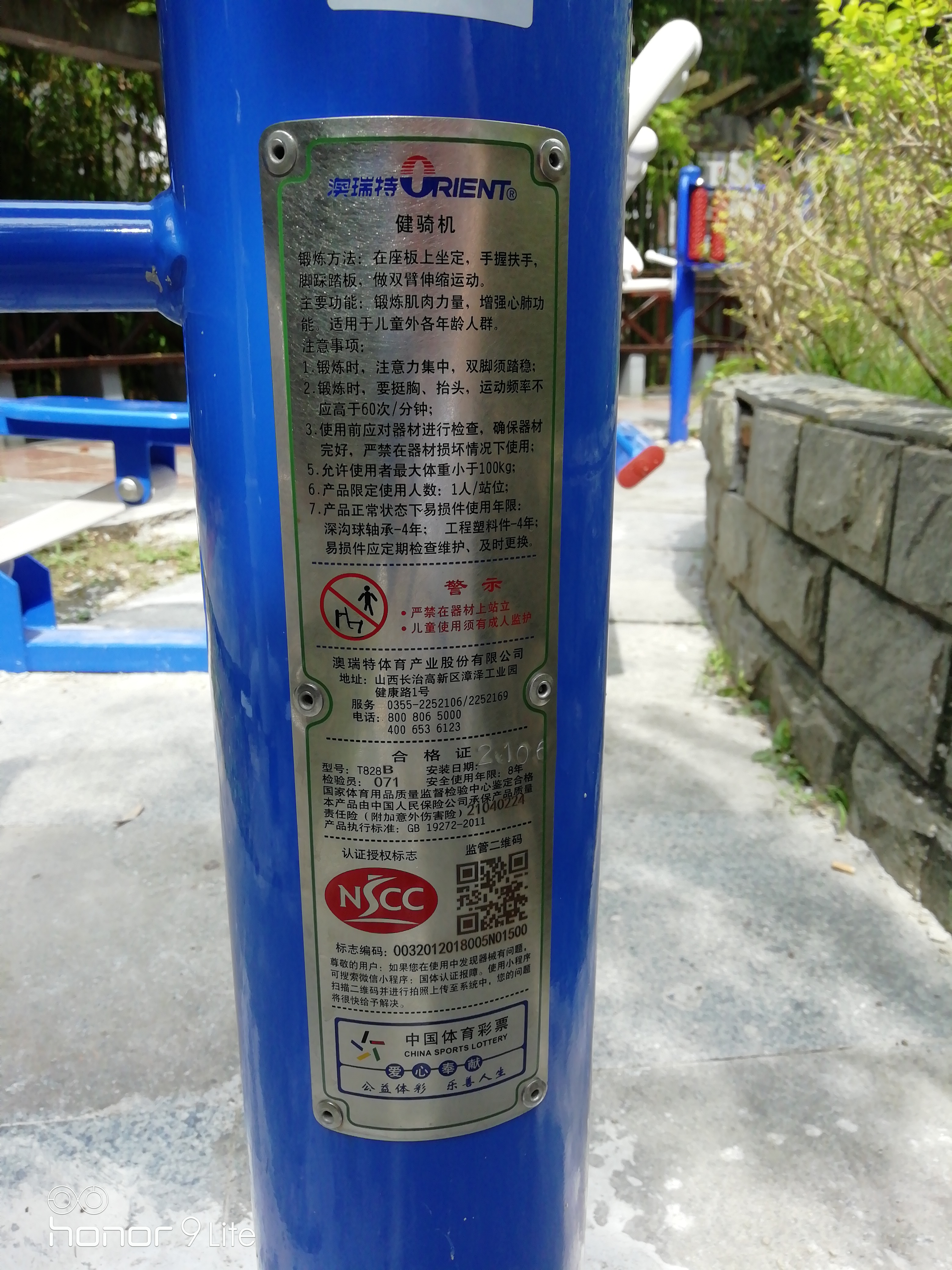 腰力训练器