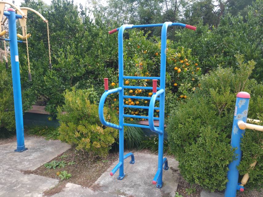 多功能训练器