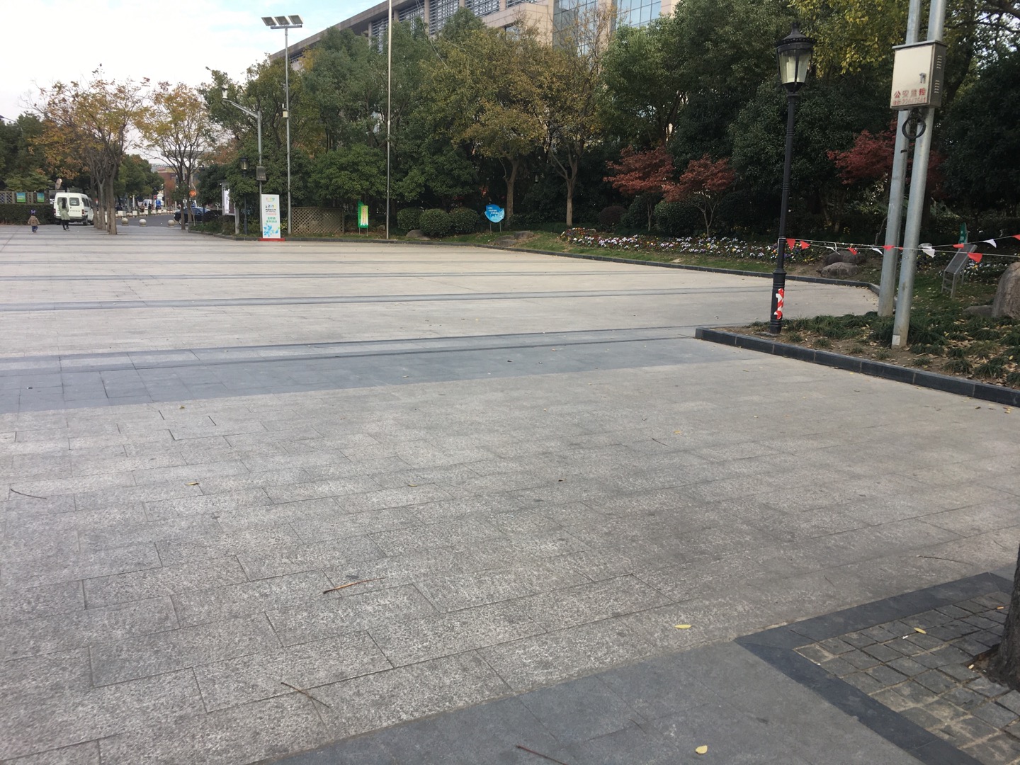金桥镇佳林路篮球场