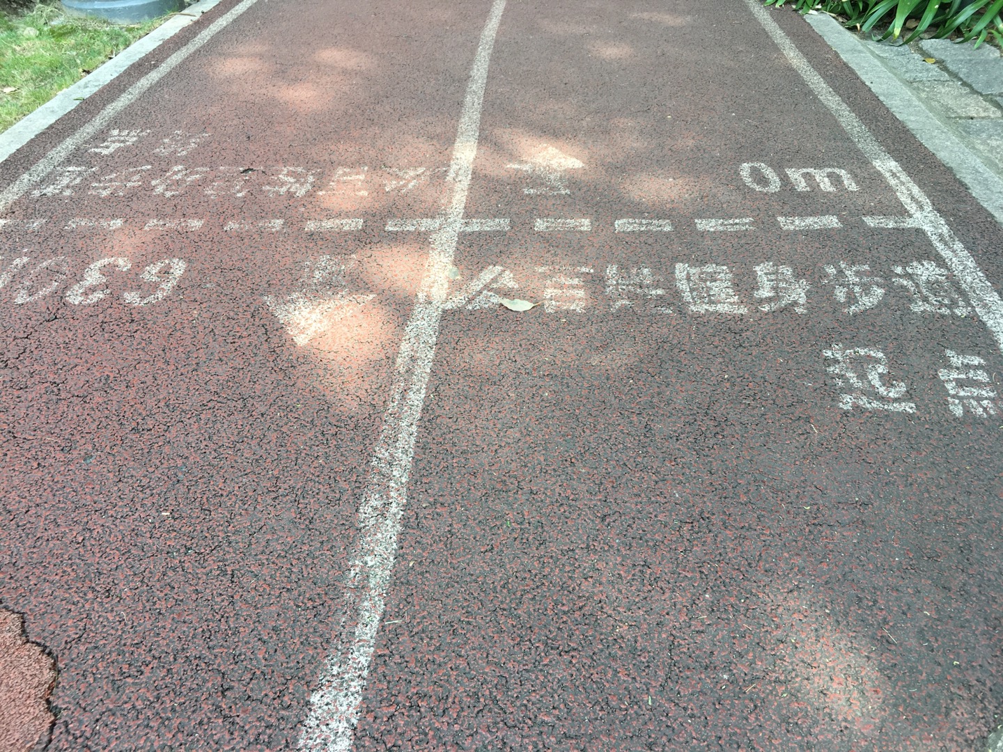 新虹桥中心花园市民健身步道