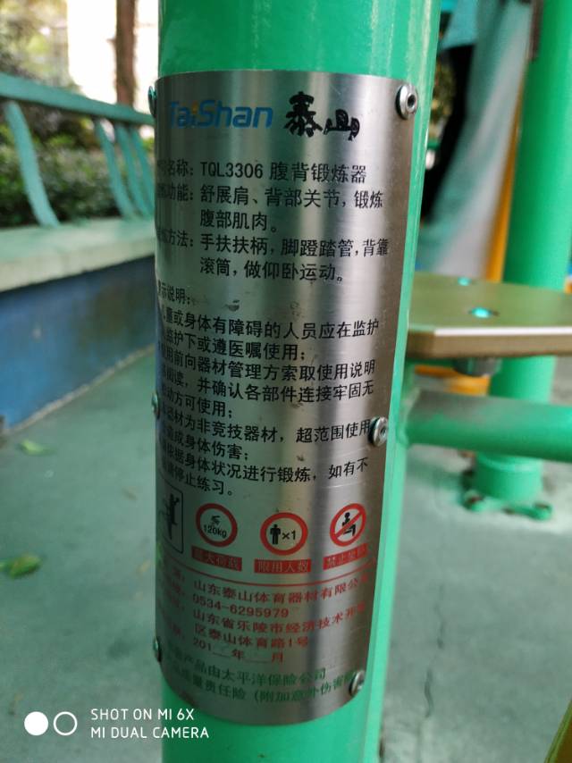 腹背锻炼器