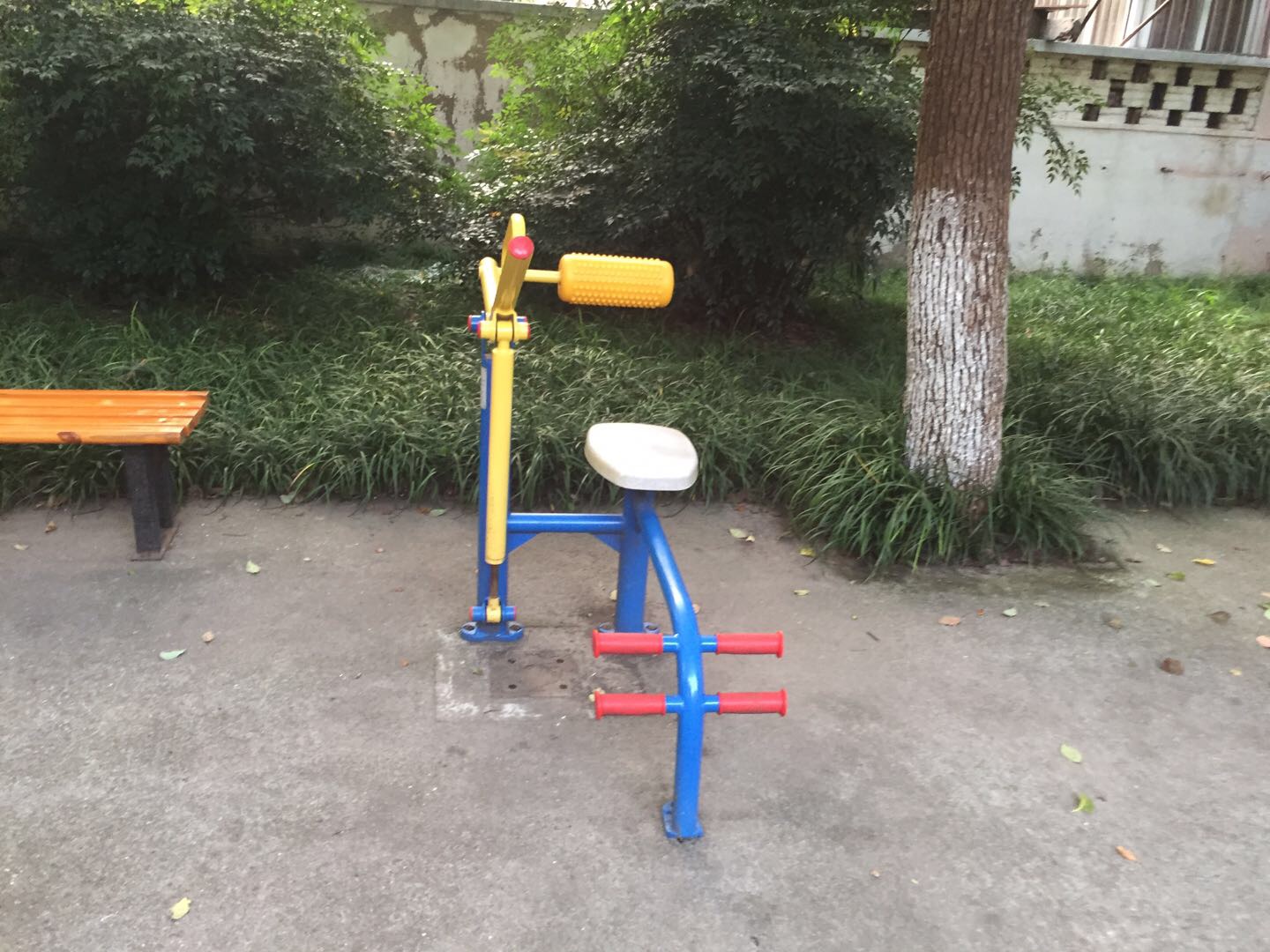 腹背锻炼器