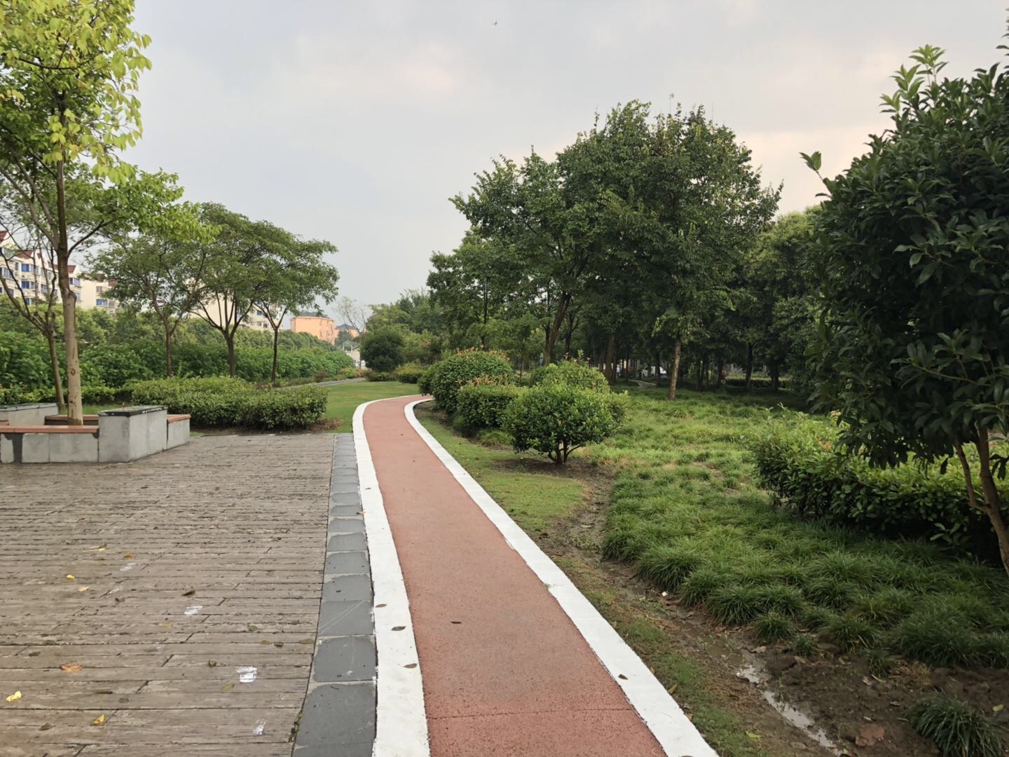马桥镇马桥居委百姓健身步道