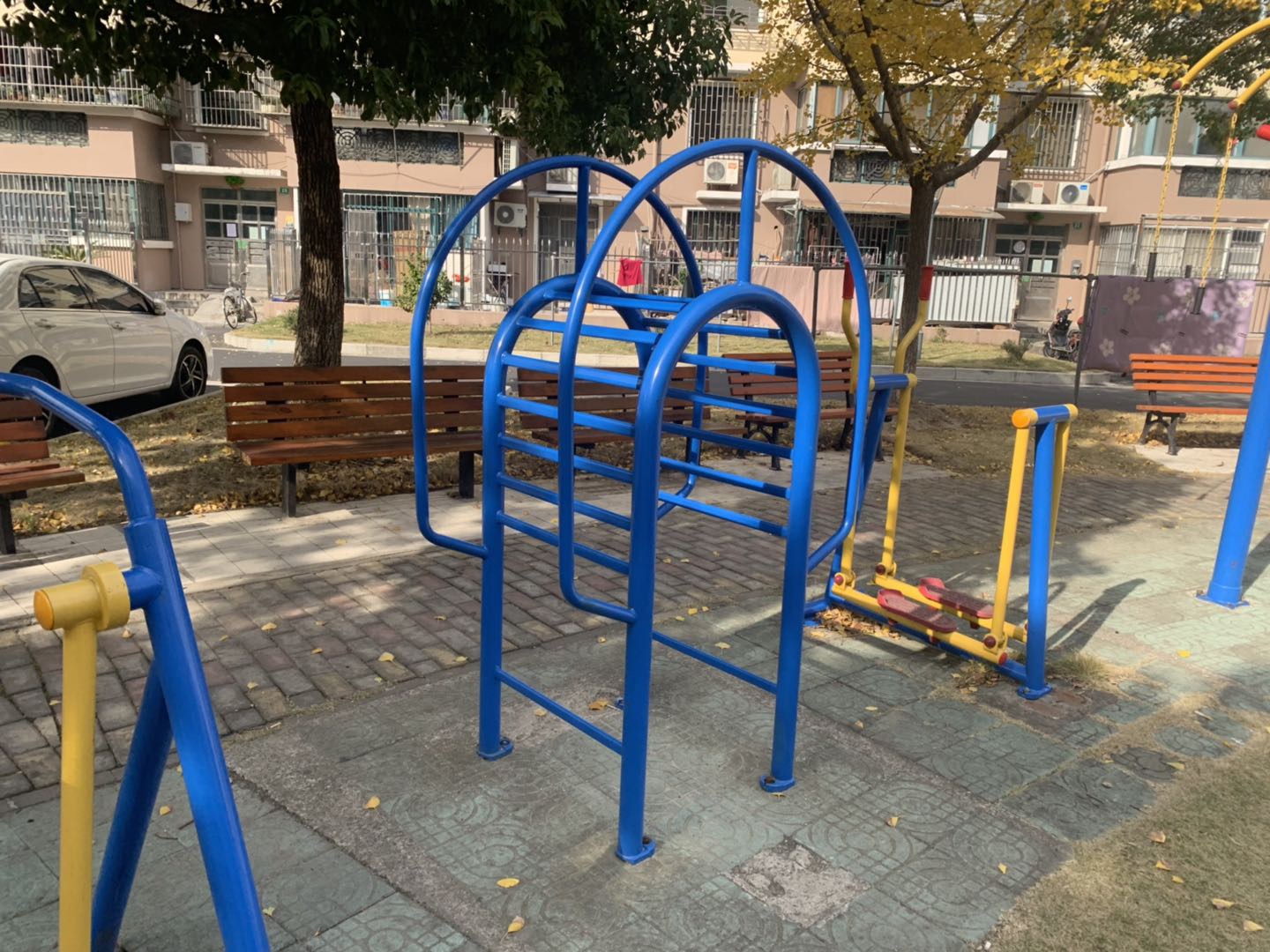 伸背器