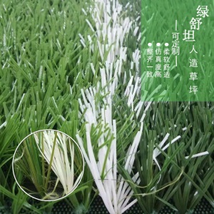 人造草坪荷兰进口赛尔隆足球场仿真草坪人造仿真草皮厂家直销